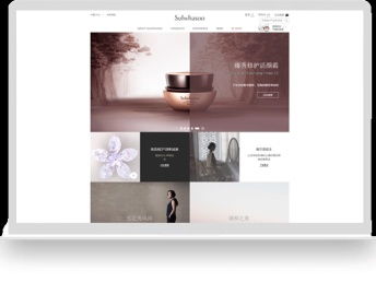 專業(yè)網(wǎng)站建設與設計，雅茂道助您打造卓越線上品牌